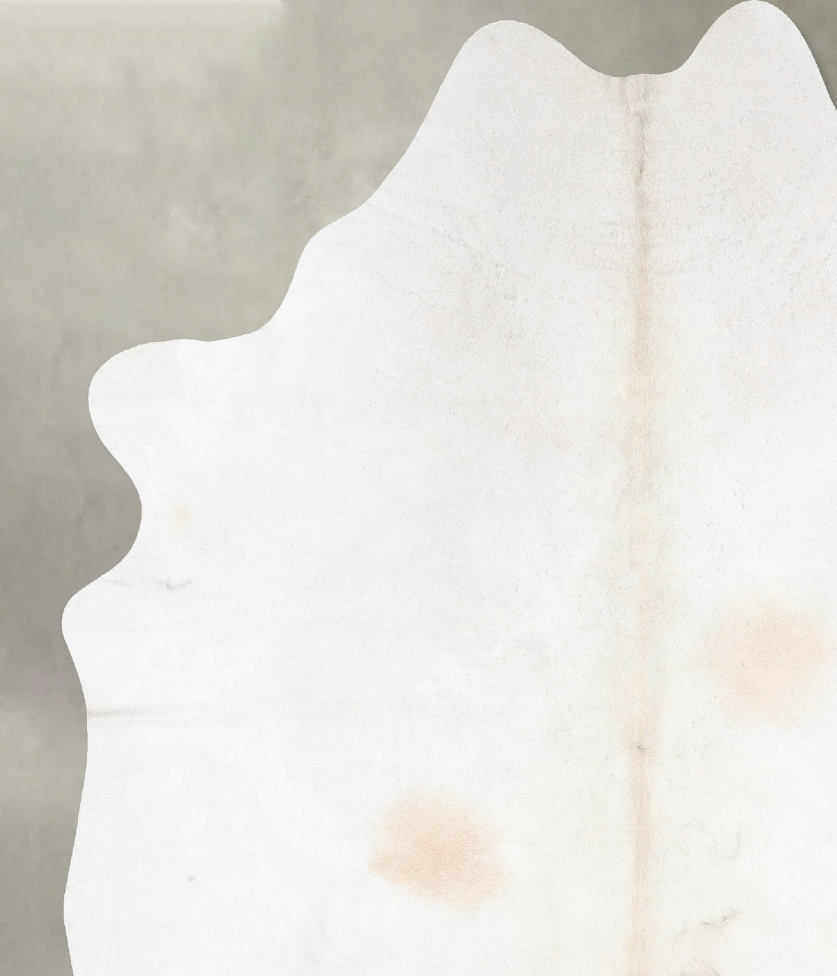 Ivory with Beige XX-Large Brazilian Cowhide Rug 8'8"H x 7'0"W #B31226 by Hudson Hides