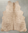 Champagne Medium Brazilian Cowhide Rug 5'8"H x 4'9"W #B31241 by Hudson Hides
