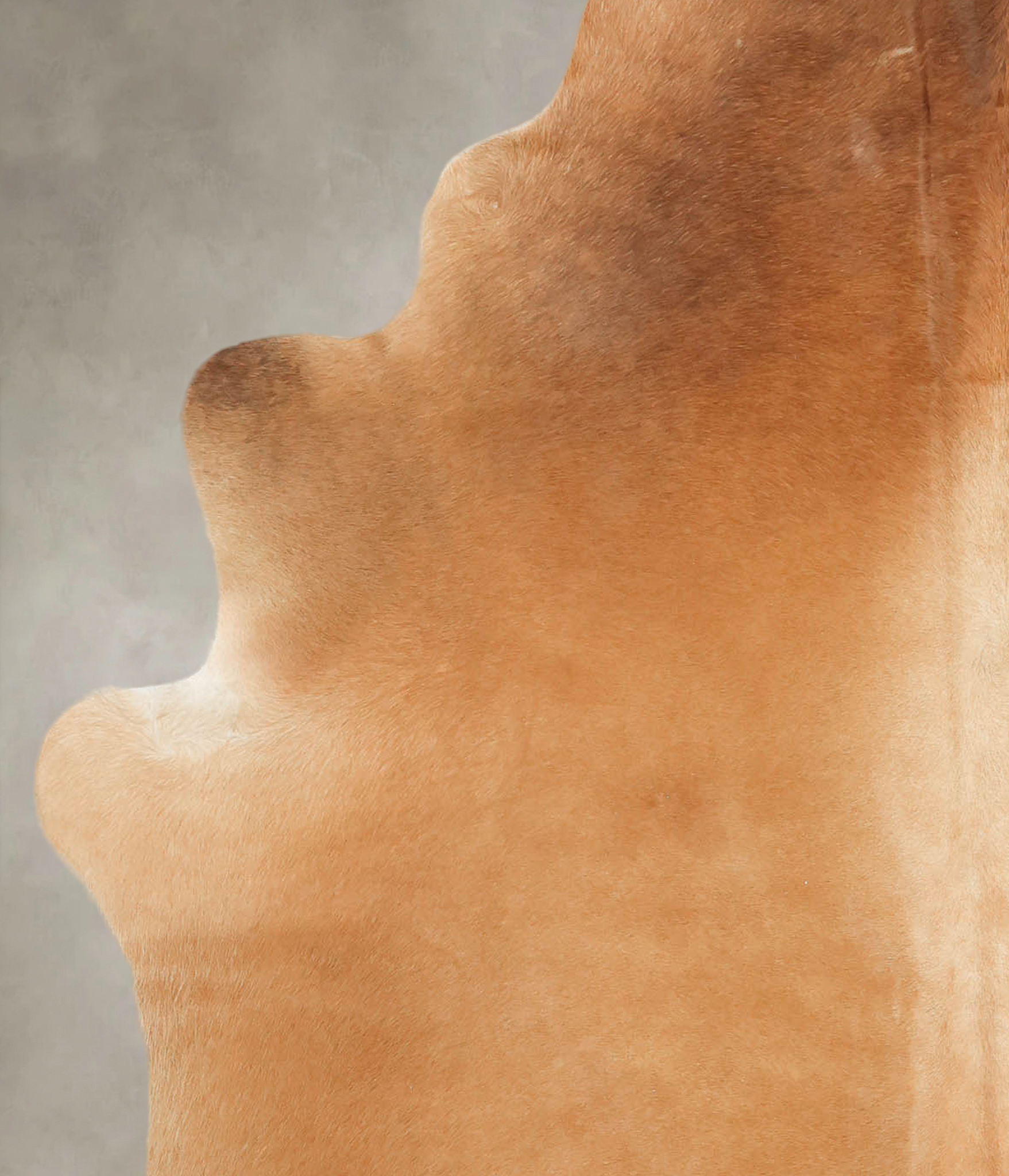 Solid Brown Cowhide Rug #B3165