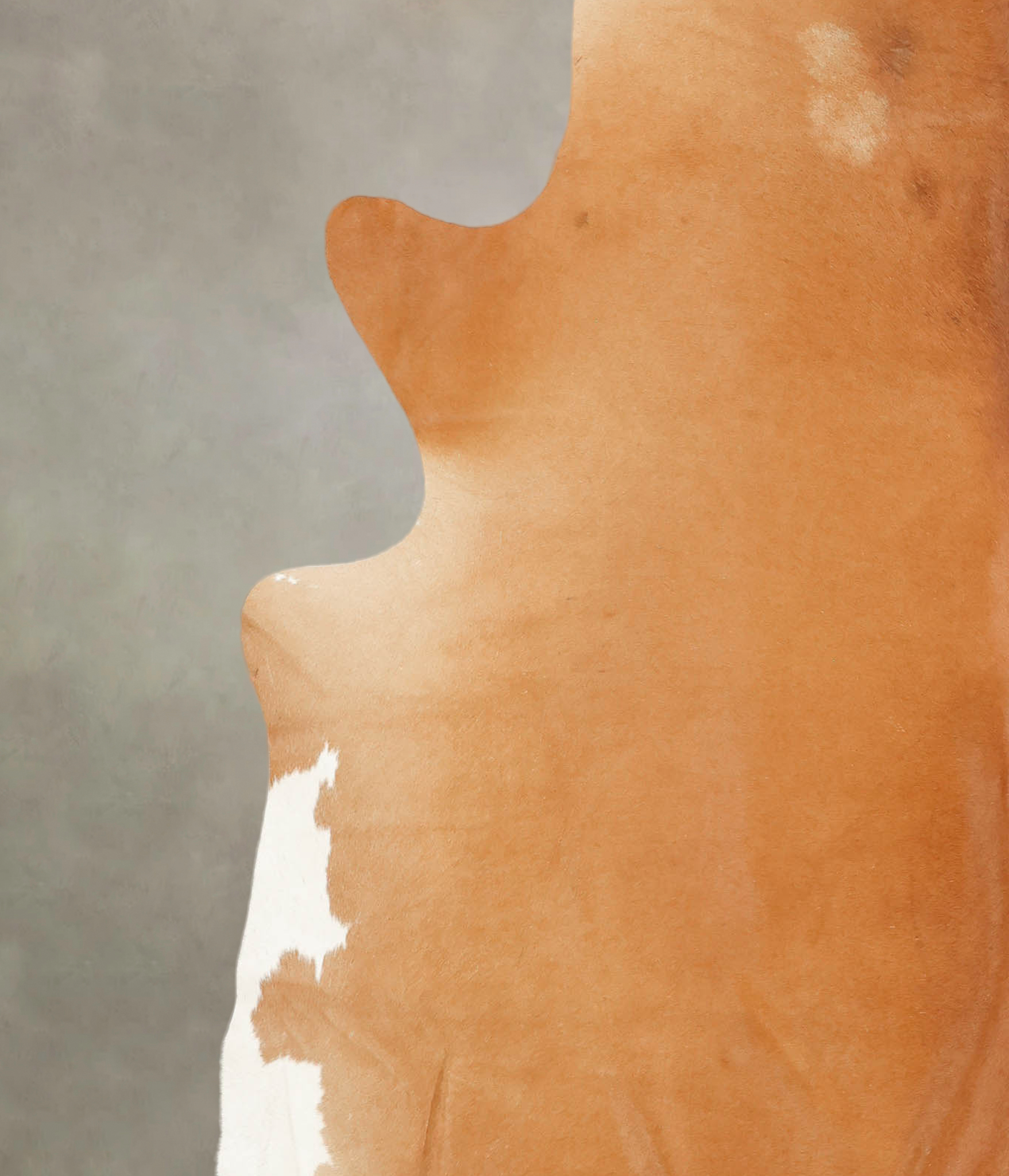 Brown and White Regular Cowhide Rug #B3222