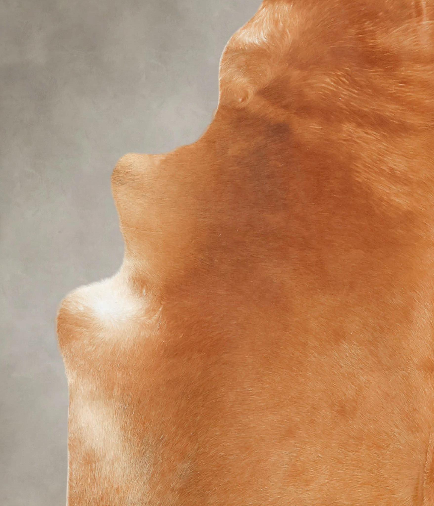 Solid Brown Cowhide Rug #B3238