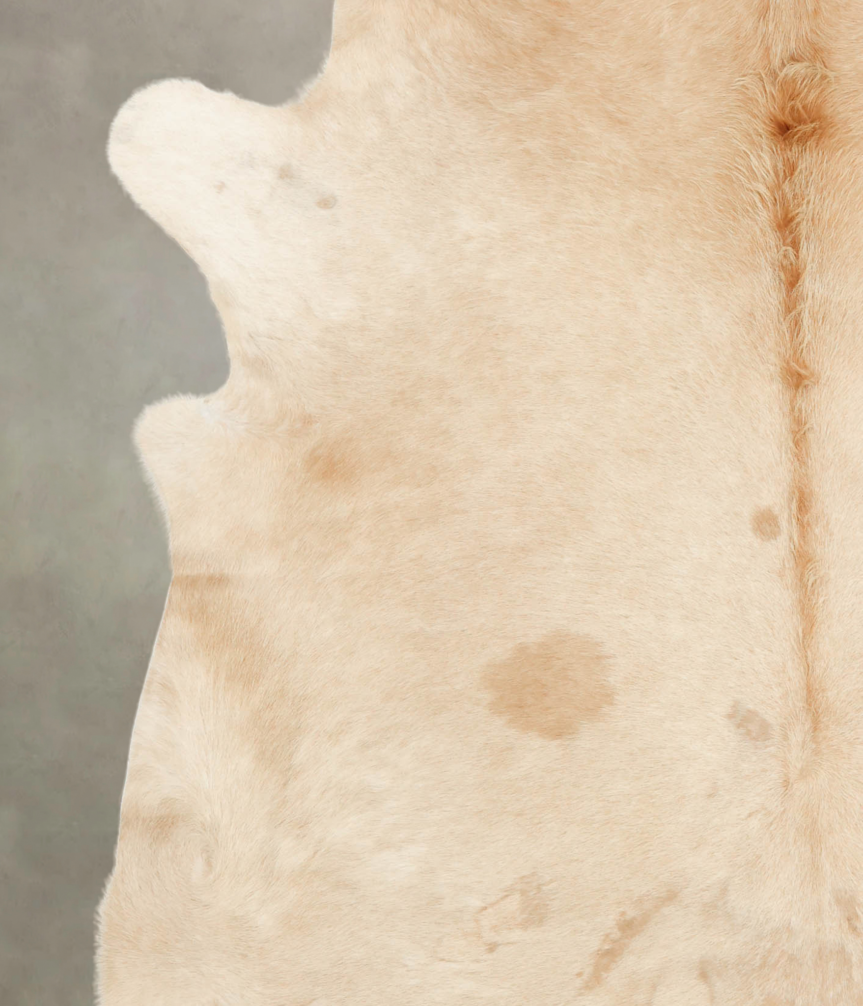 Palomino Cowhide Rug #B3242