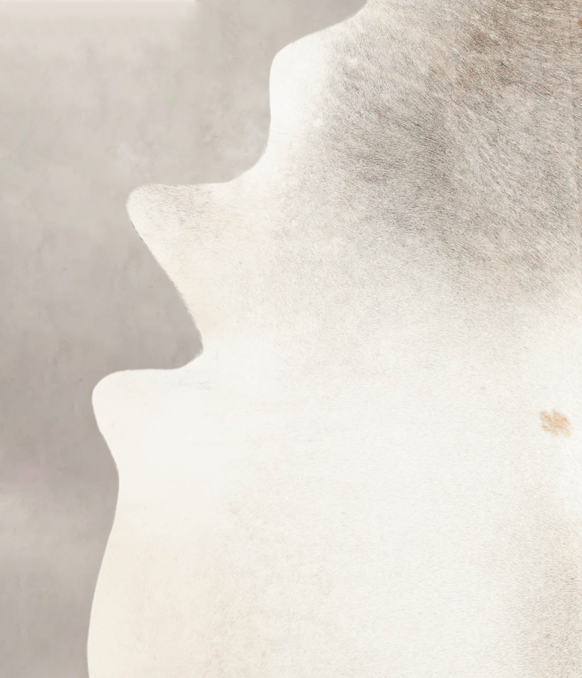 Medium Grey X-Large Brazilian Cowhide Rug 7'6"H x 6'1"W #B3338 by Hudson Hides