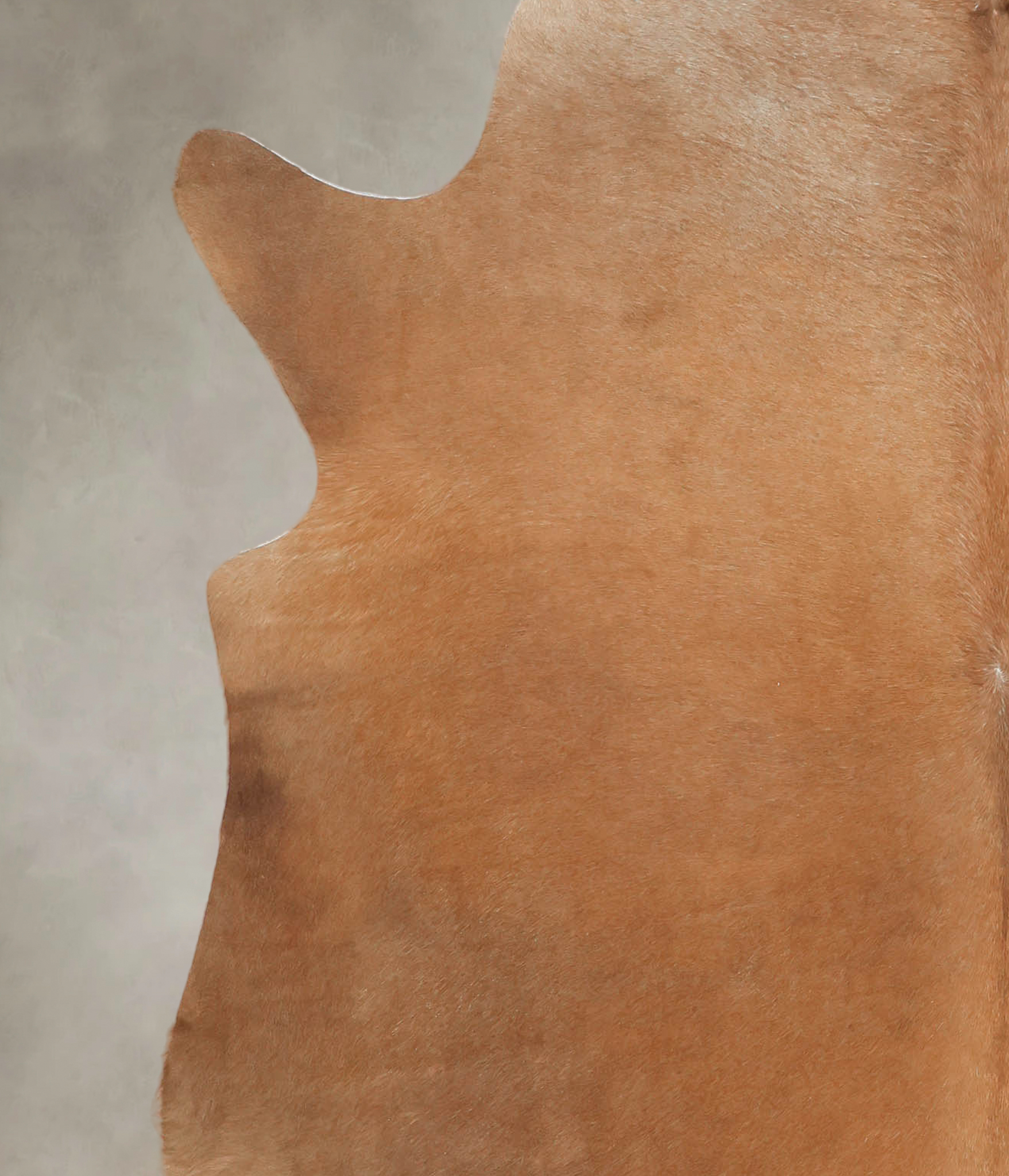 Solid Brown Cowhide Rug #B3460