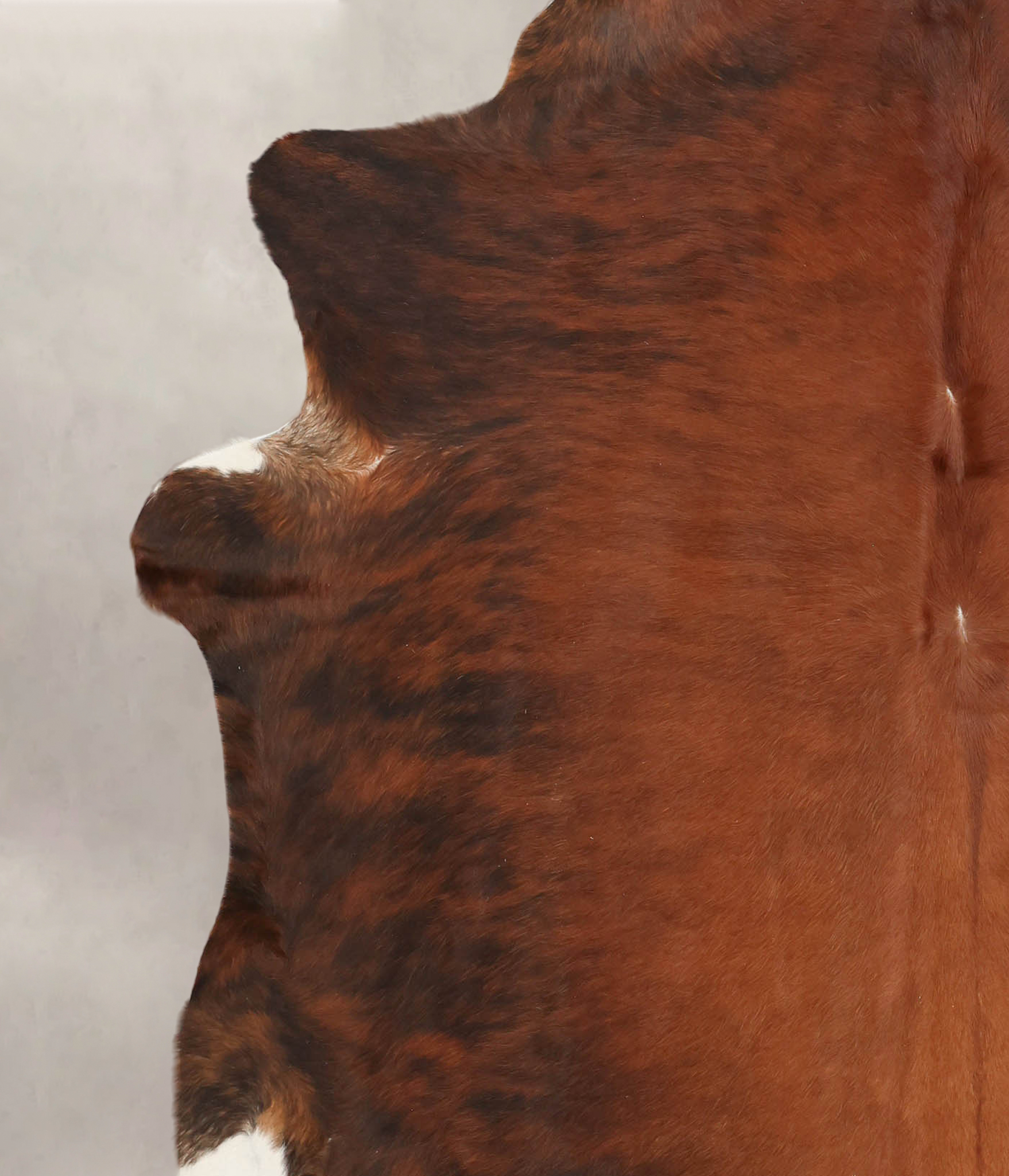 Medium Brindle Cowhide Rug #B3464