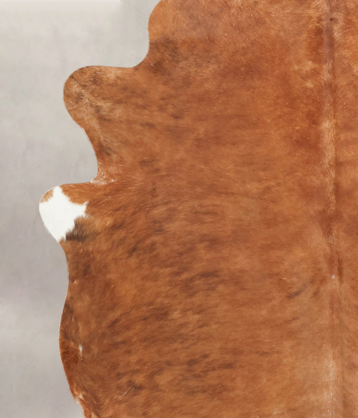 Medium Brindle XX-Large Brazilian Cowhide Rug 7'7"H x 7'3"W #B3475 by Hudson Hides