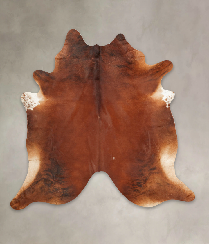 Medium Brindle XX-Large Brazilian Cowhide Rug 7'6"H x 7'5"W #B3482 by Hudson Hides