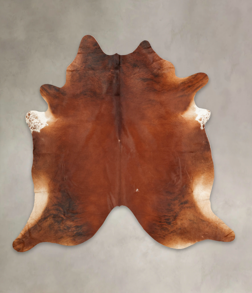 Medium Brindle XX-Large Brazilian Cowhide Rug 7'6"H x 7'5"W #B3482 by Hudson Hides