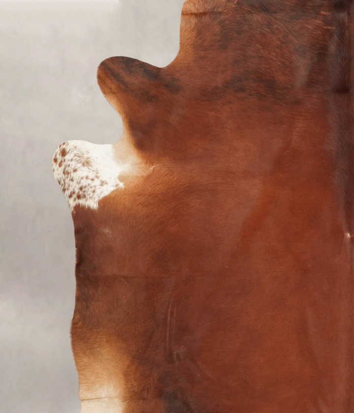 Medium Brindle XX-Large Brazilian Cowhide Rug 7'6"H x 7'5"W #B3482 by Hudson Hides