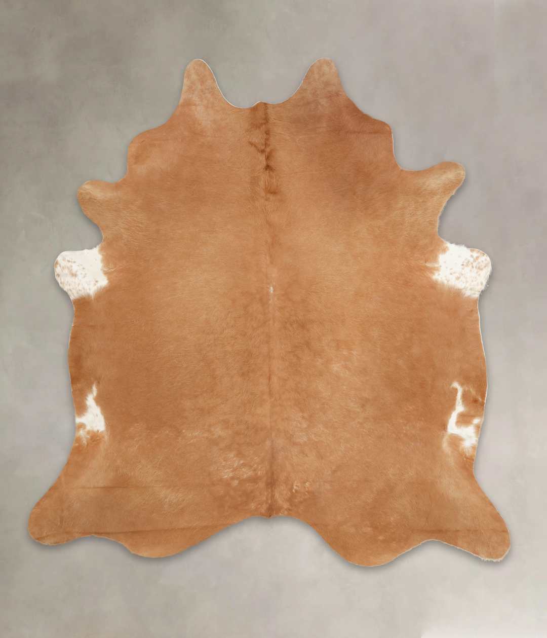 Solid Brown XX-Large Brazilian Cowhide Rug 7'8"H x 7'2"W #B3497 by Hud