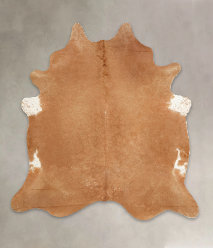 Solid Brown XX-Large Brazilian Cowhide Rug 7'8"H x 7'2"W #B3497 by Hudson Hides