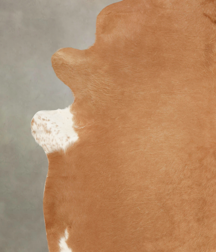 Solid Brown XX-Large Brazilian Cowhide Rug 7'8"H x 7'2"W #B3497 by Hudson Hides