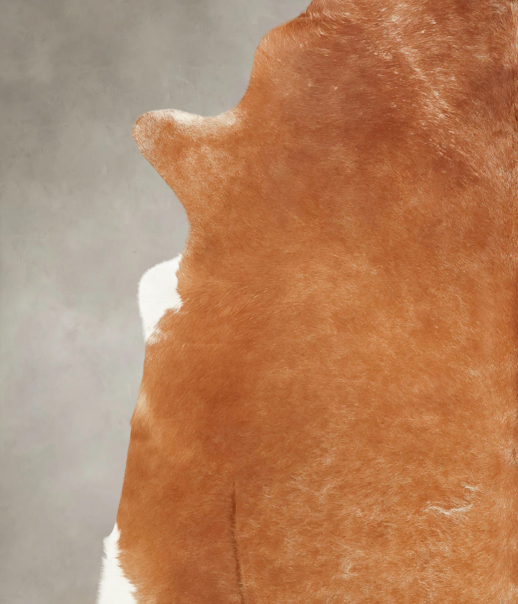 Brown and White Regular Cowhide Rug #B3527