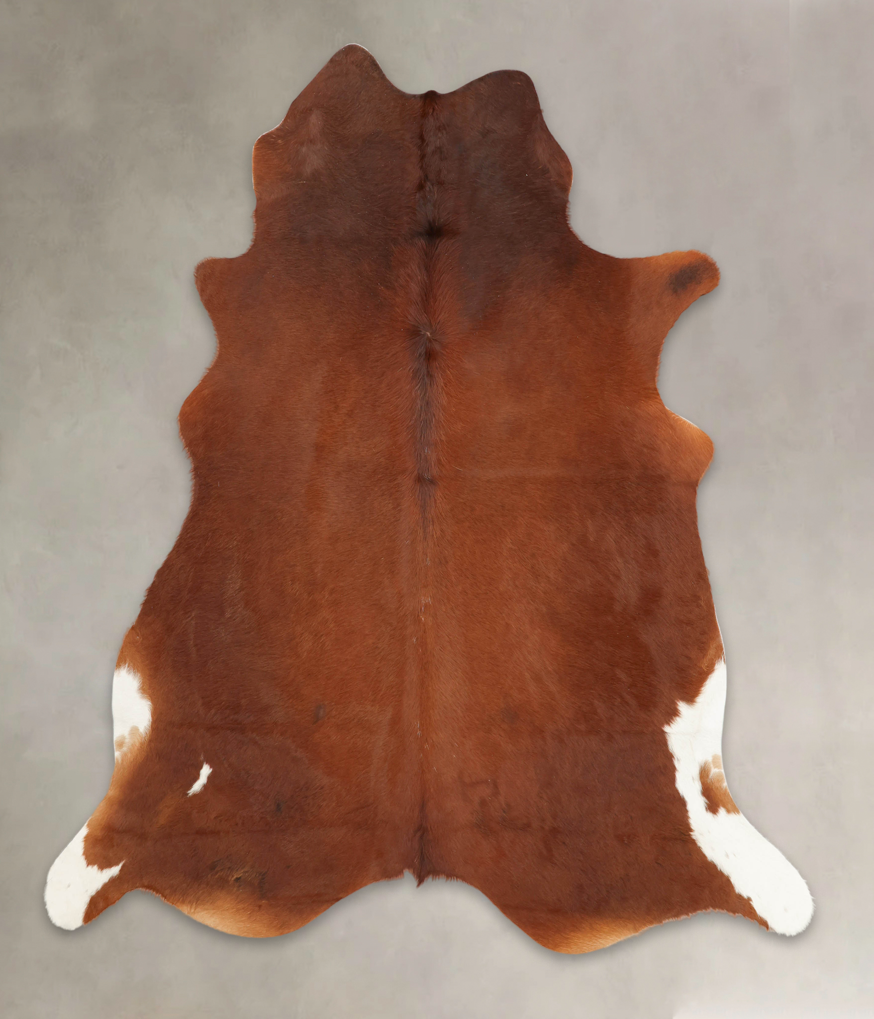 Brown and White Regular Cowhide Rug #B3529