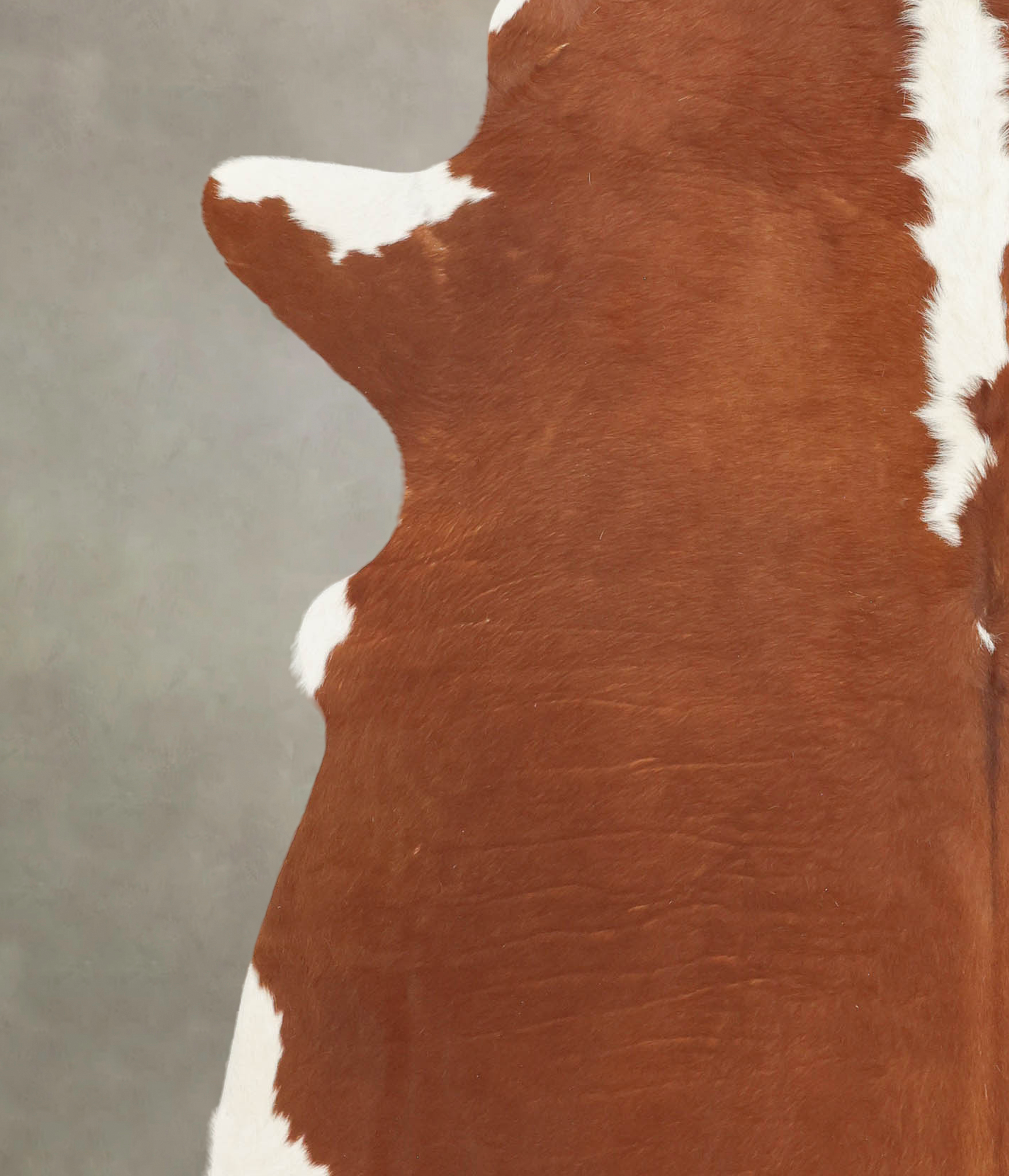 Hereford Cowhide Rug #B3594