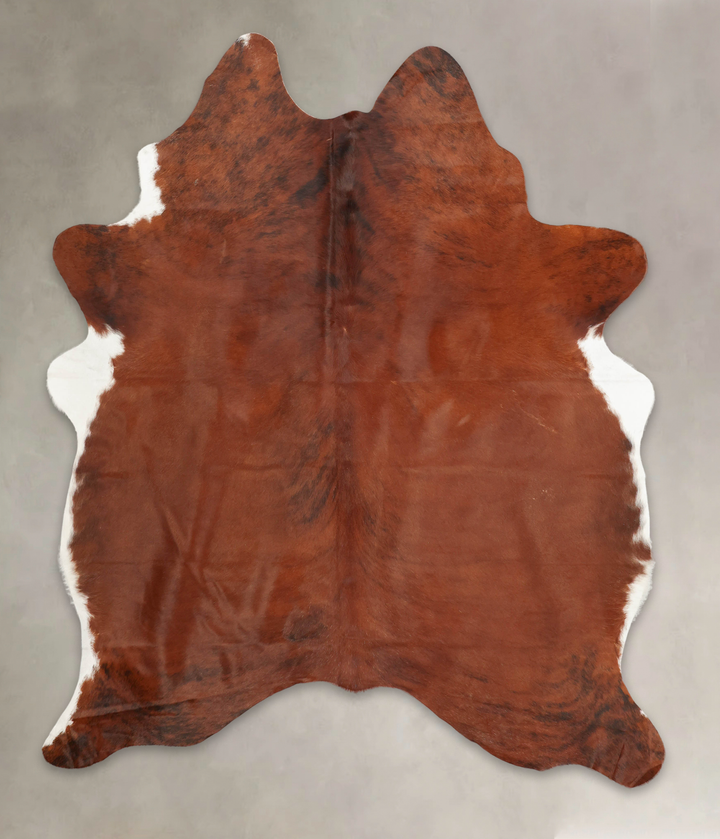 Medium Brindle X-Large Brazilian Cowhide Rug 7'8"H x 6'2"W #B3603 by Hudson Hides