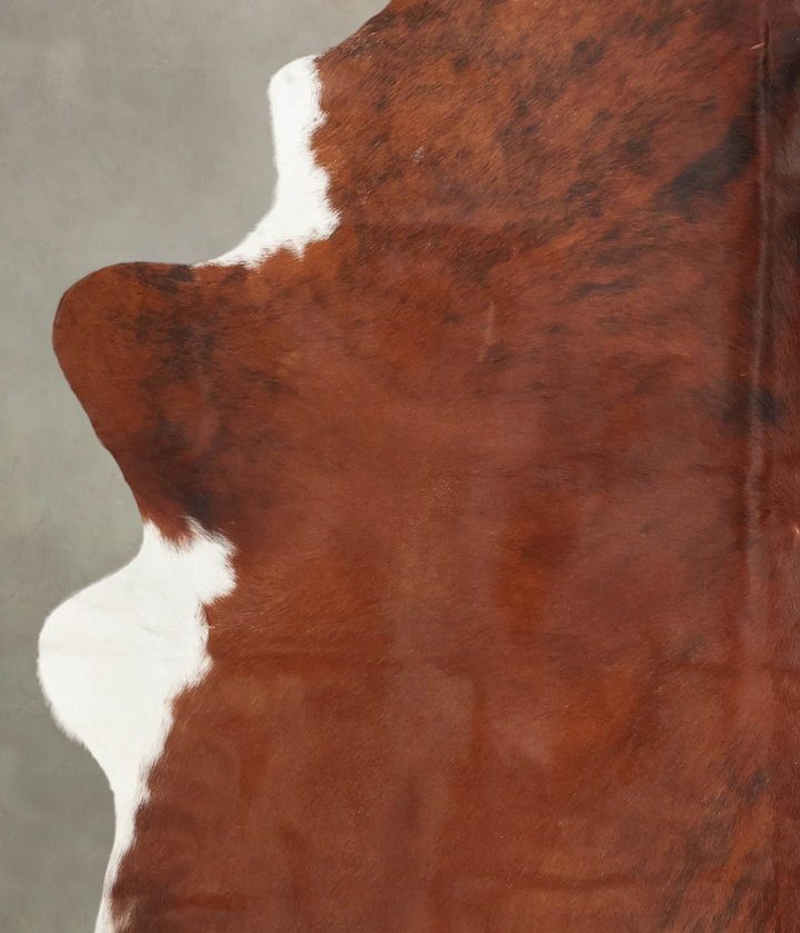 Medium Brindle X-Large Brazilian Cowhide Rug 7'8"H x 6'2"W #B3603 by Hudson Hides