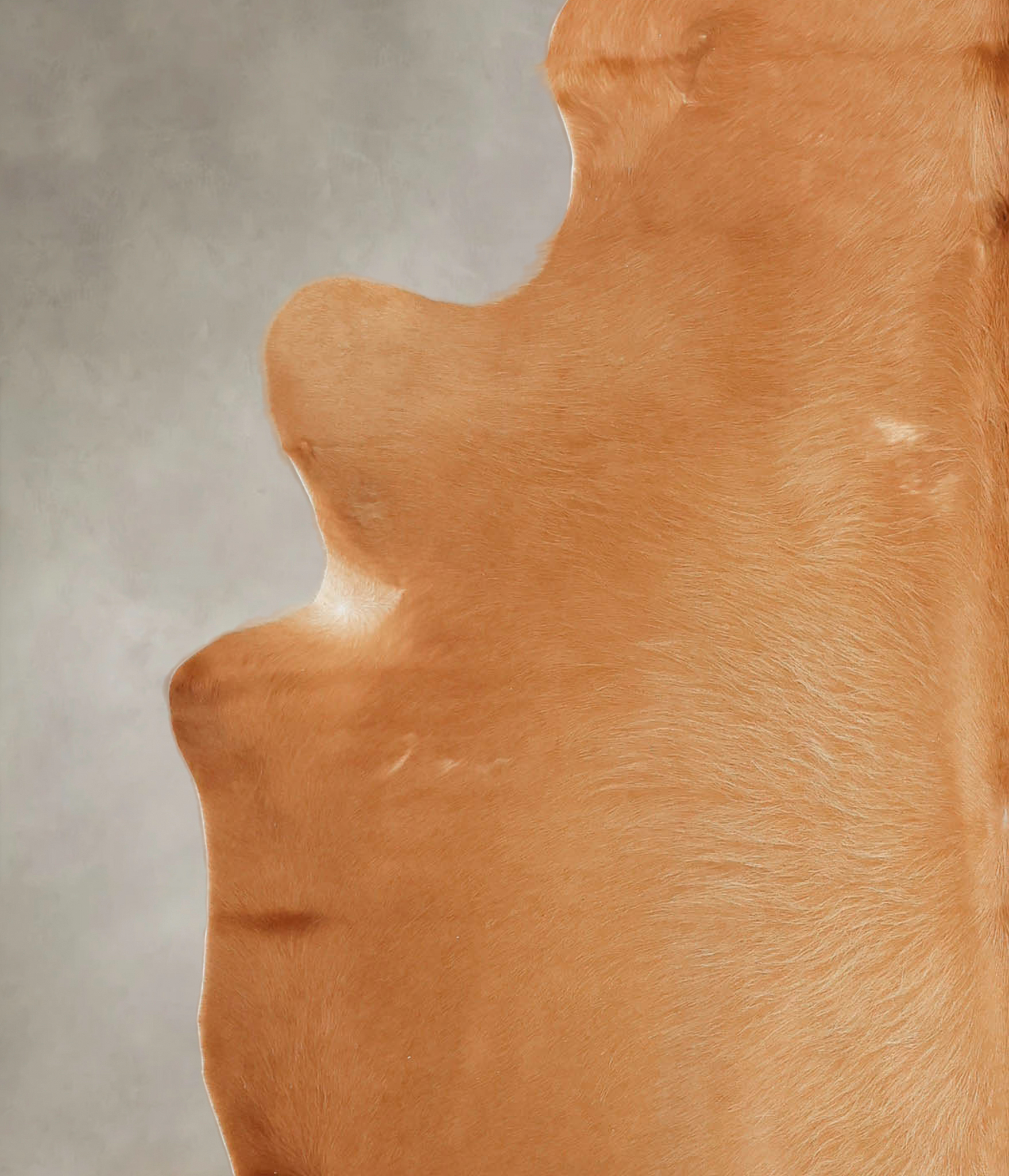 Solid Brown Cowhide Rug #B3613