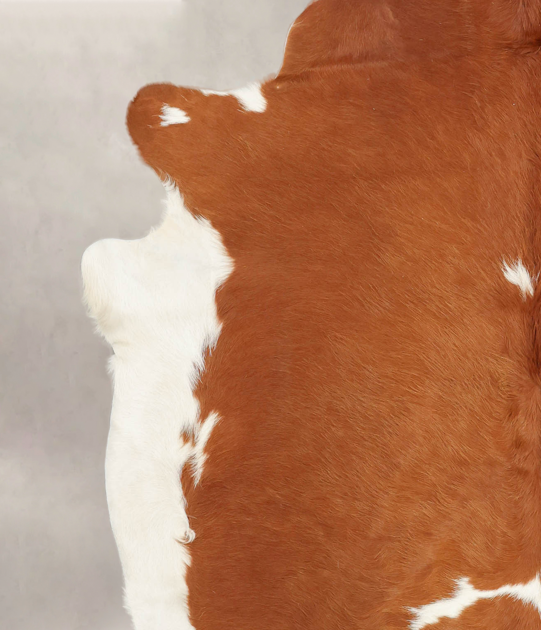 Brown and White Cowhide Rug #B3637