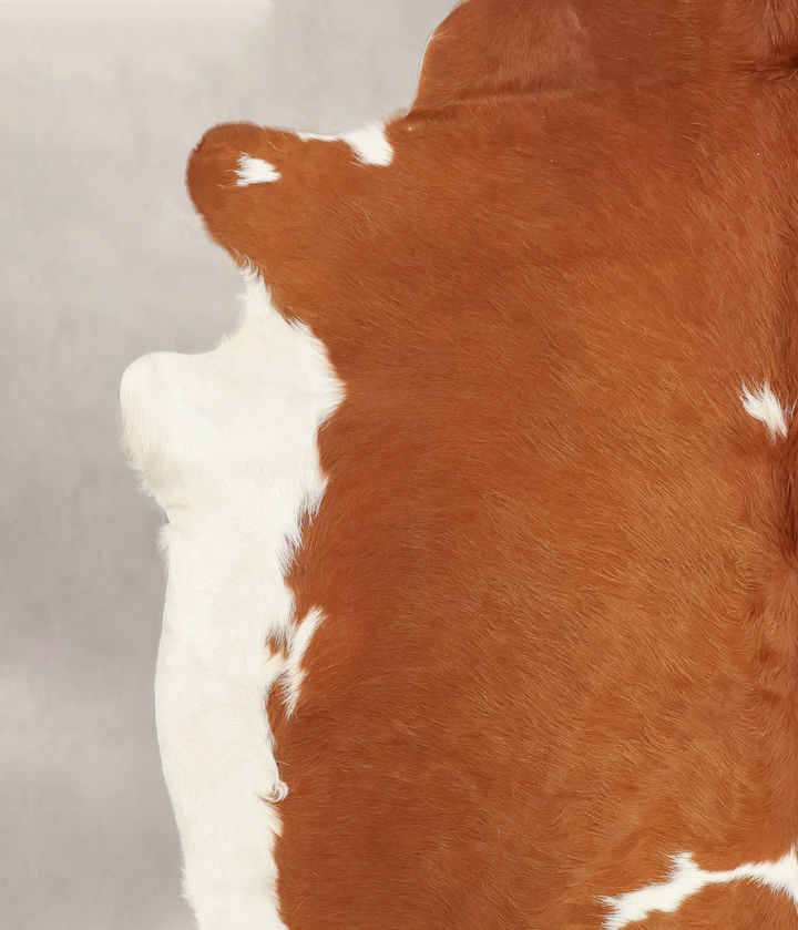 Brown and White X-Large Brazilian Cowhide Rug 7'0"H x 6'9"W #B3637 by Hudson Hides