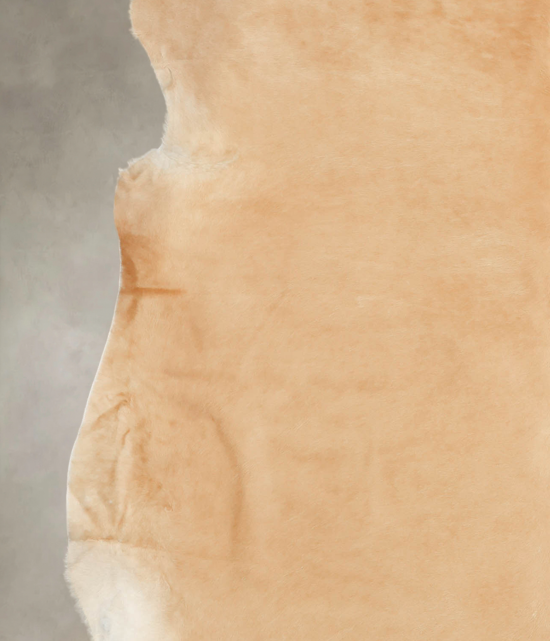 Beige X-Large Brazilian Cowhide Rug 6'11"H x 6'8"W #B3660 by Hudson Hi