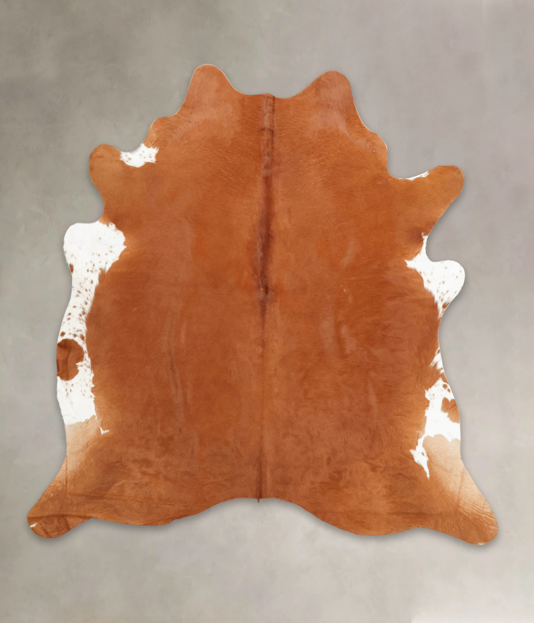 Brown and White Regular Cowhide Rug #B3684