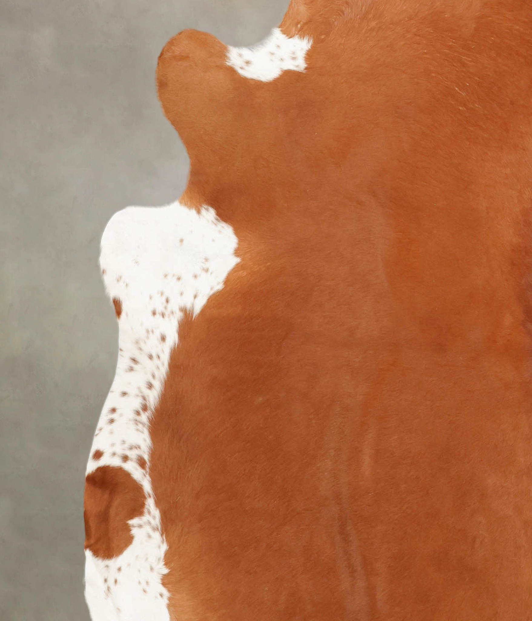 Brown and White Regular Cowhide Rug #B3684