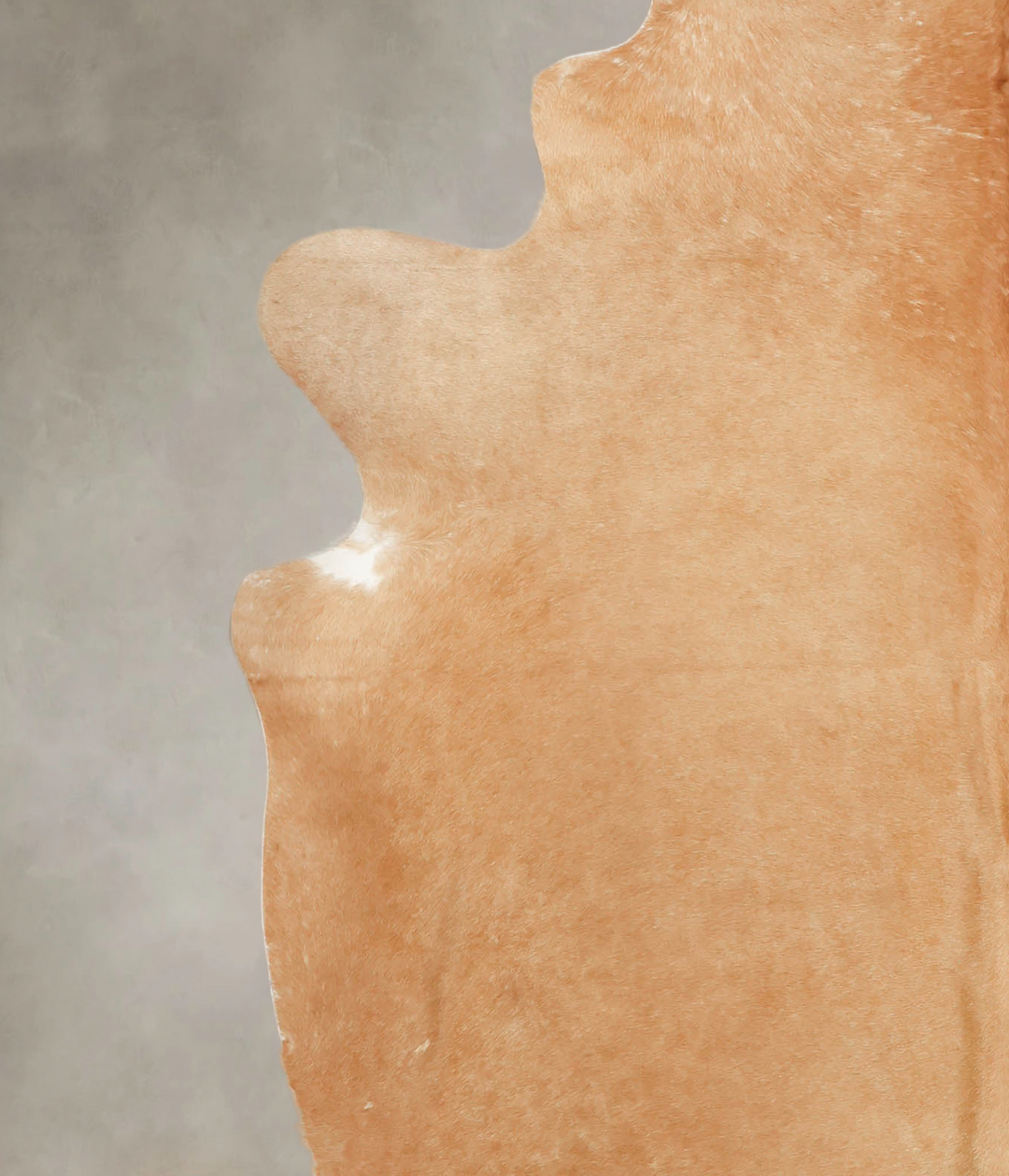 Beige XX-Large Brazilian Cowhide Rug 7'4"H x 6'11"W #B3692 by Hudson H