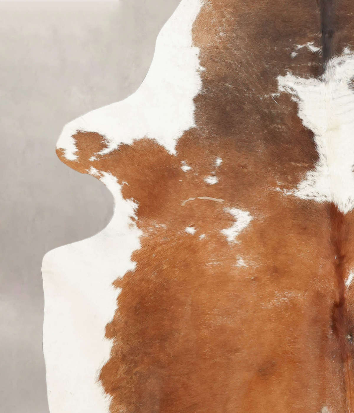 Brown and White X-Large Brazilian Cowhide Rug 7'3"H x 6'5"W #B3840 by Hudson Hides