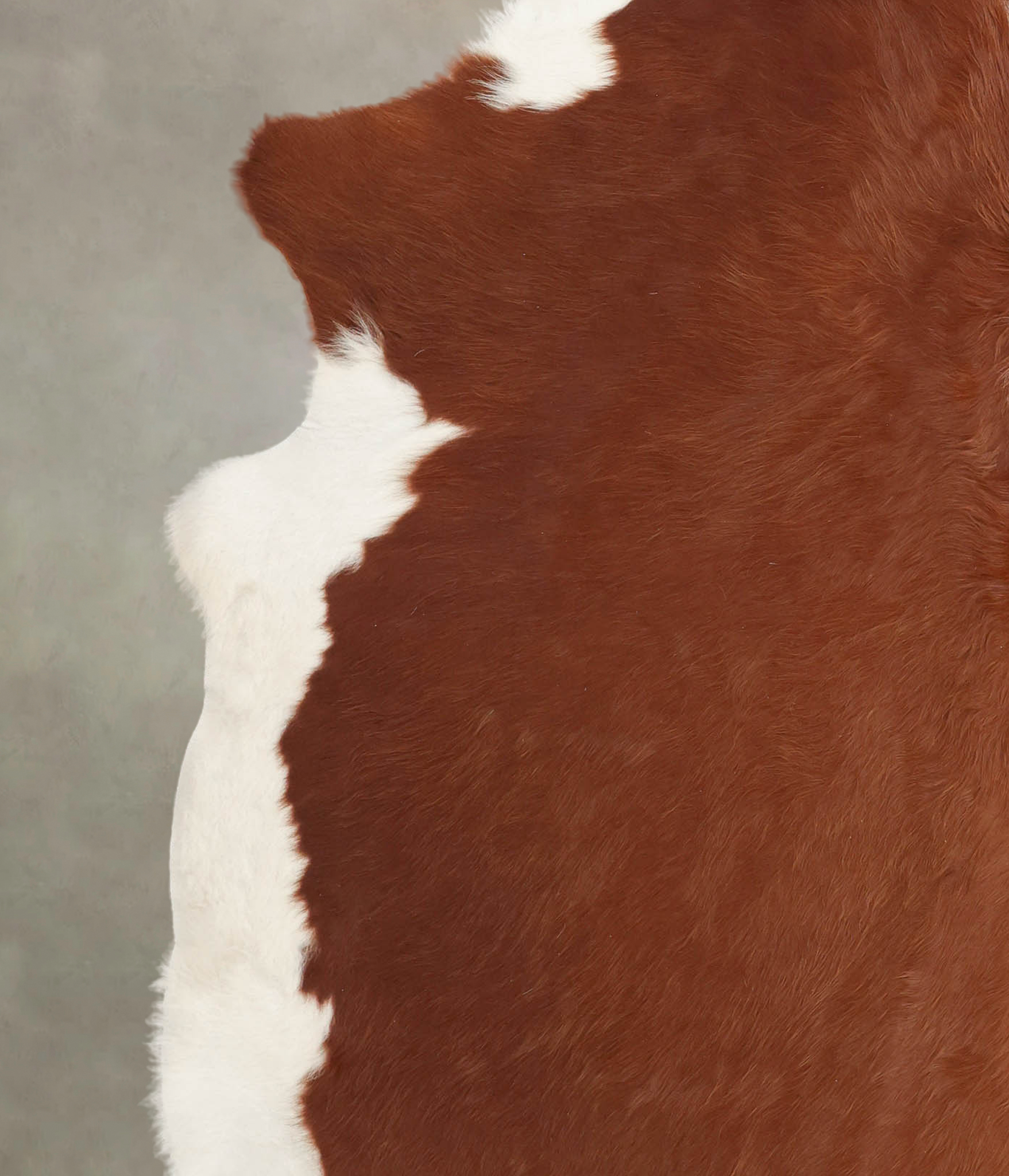 Hereford Cowhide Rug #B3863