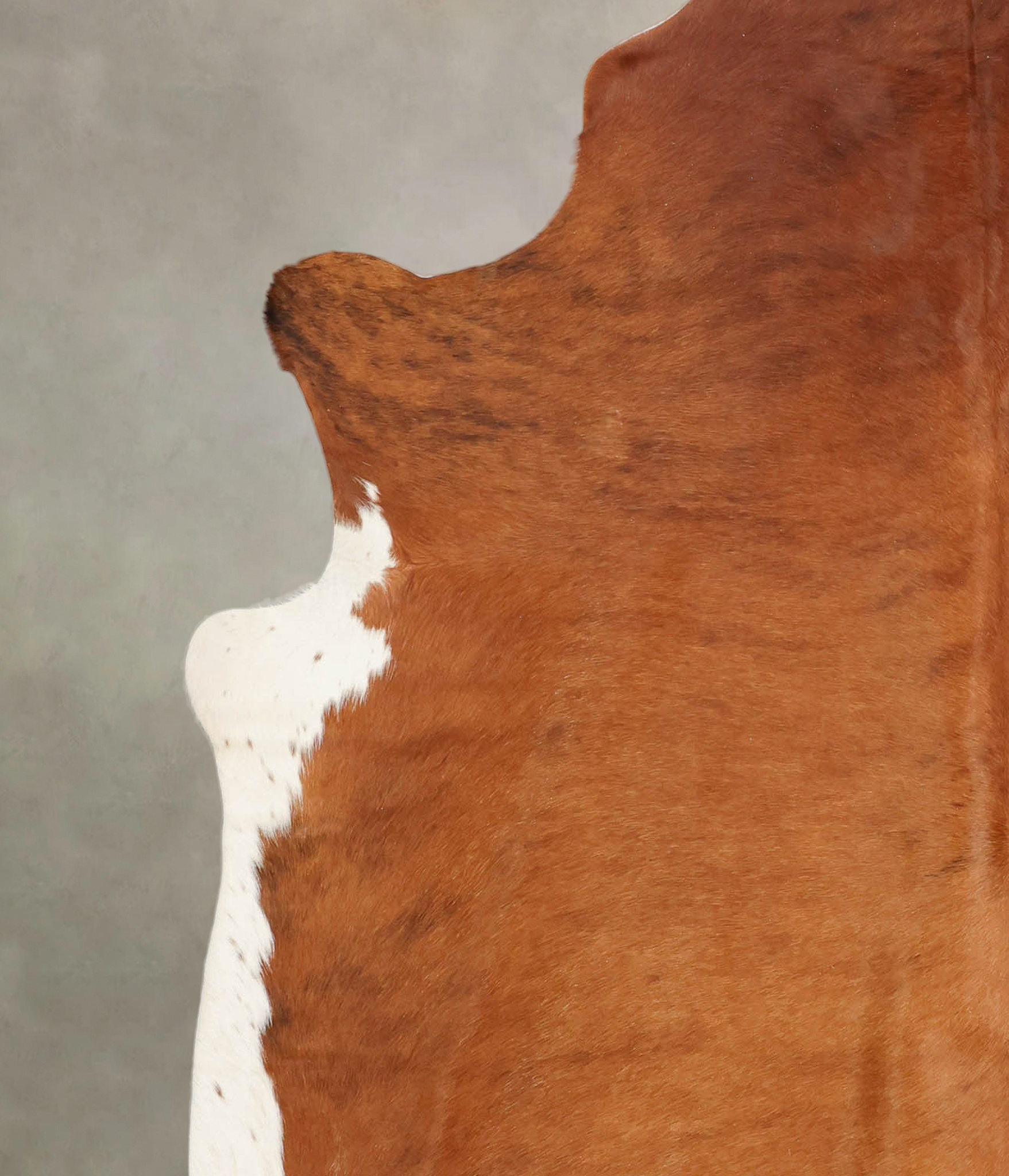 Medium Brindle Cowhide Rug #B3875