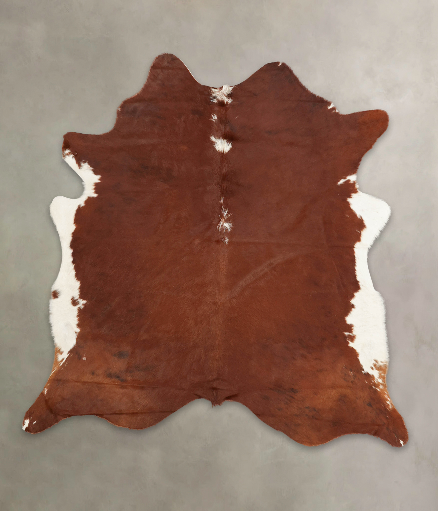Brown and White Regular Cowhide Rug #B3962