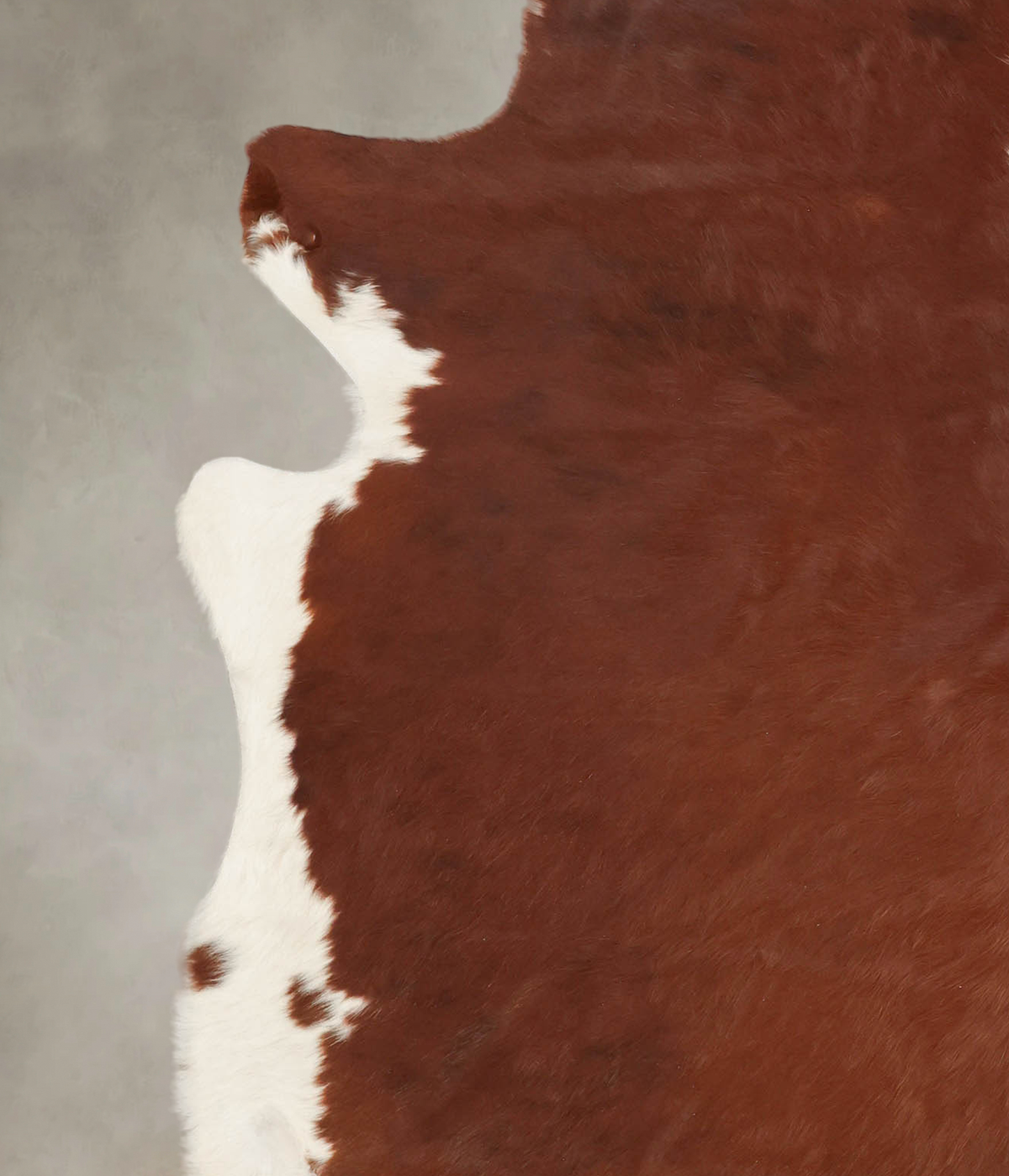 Brown and White Regular X-Large Brazilian Cowhide Rug 7'1"H x 6'9"W #B3962 by Hudson Hides