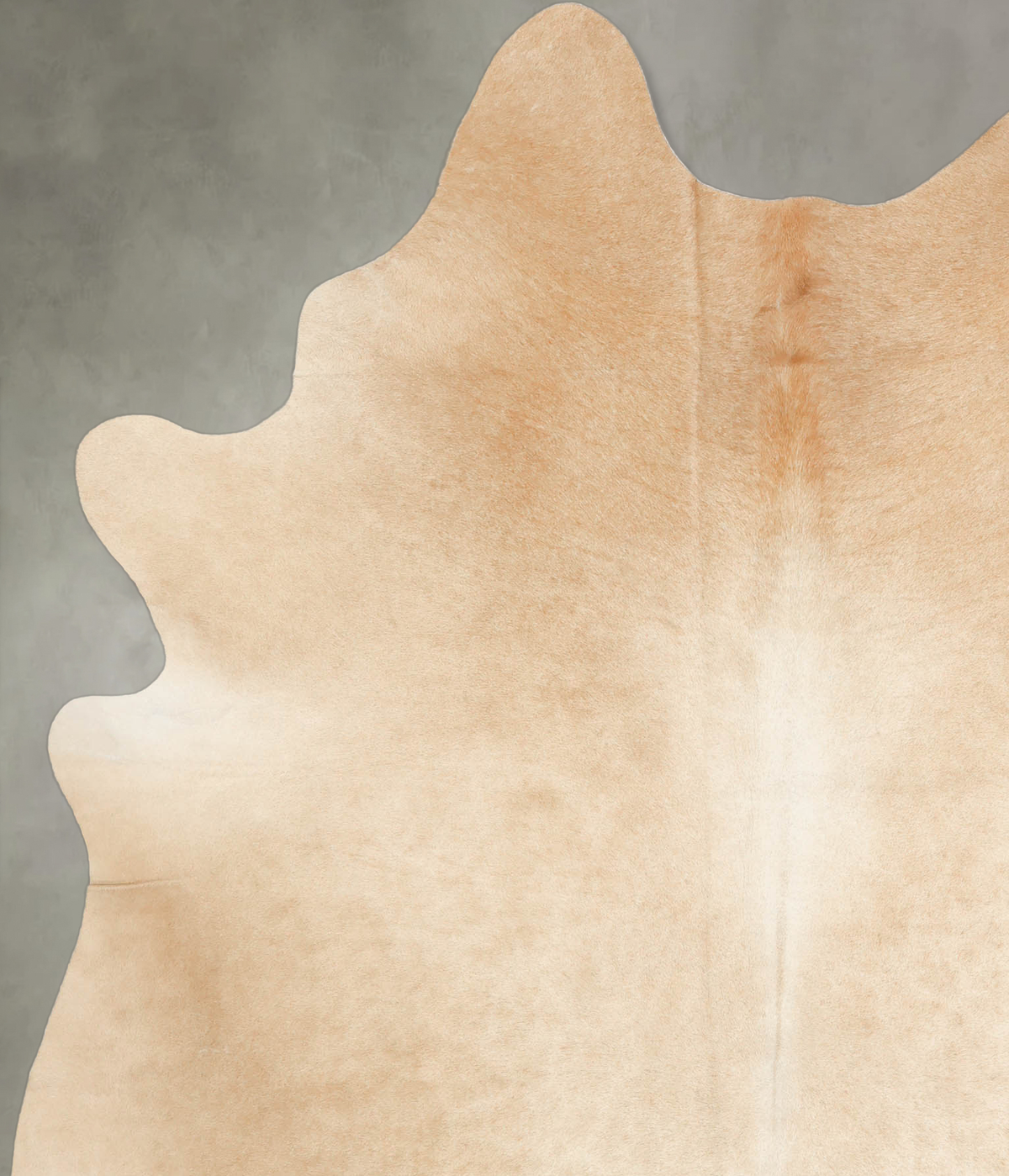Palomino X-Large Brazilian Cowhide Rug 7'1"H x 5'11"W #B3976 by Hudson Hides
