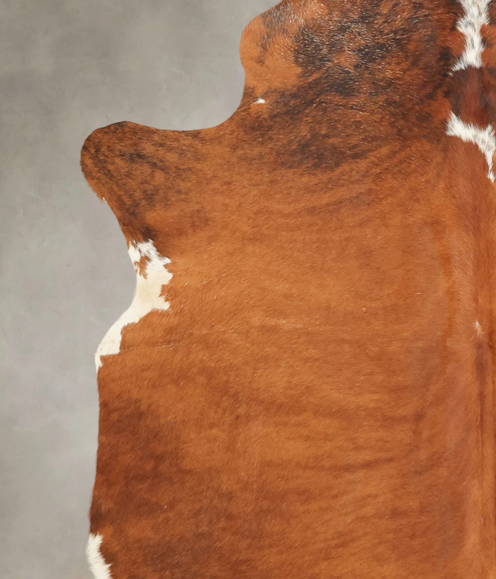 Medium Brindle X-Large Brazilian Cowhide Rug 7'2"H x 6'8"W #B3982 by Hudson Hides