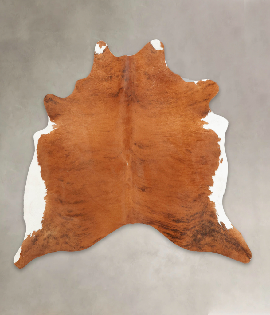 Medium Brindle X-Large Brazilian Cowhide Rug 6'4"H x 6'5"W #B4069 by Hudson Hides