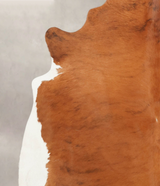 Medium Brindle X-Large Brazilian Cowhide Rug 6'4"H x 6'5"W #B4069 by Hudson Hides