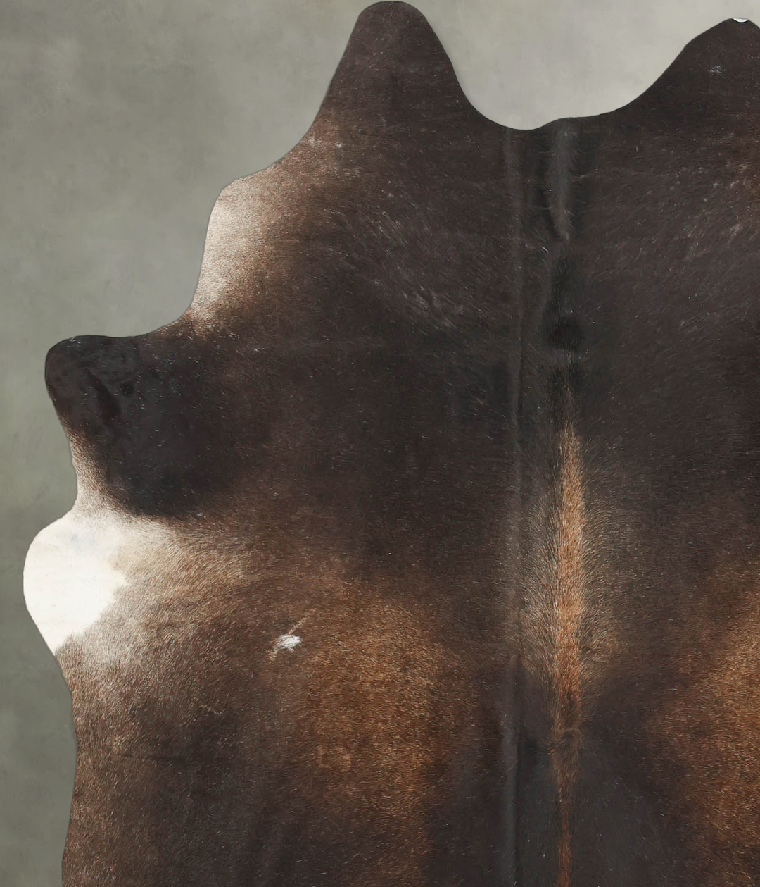 Chocolate Large Brazilian Cowhide Rug 6'4"H x 5'7"W #B4095 by Hudson H