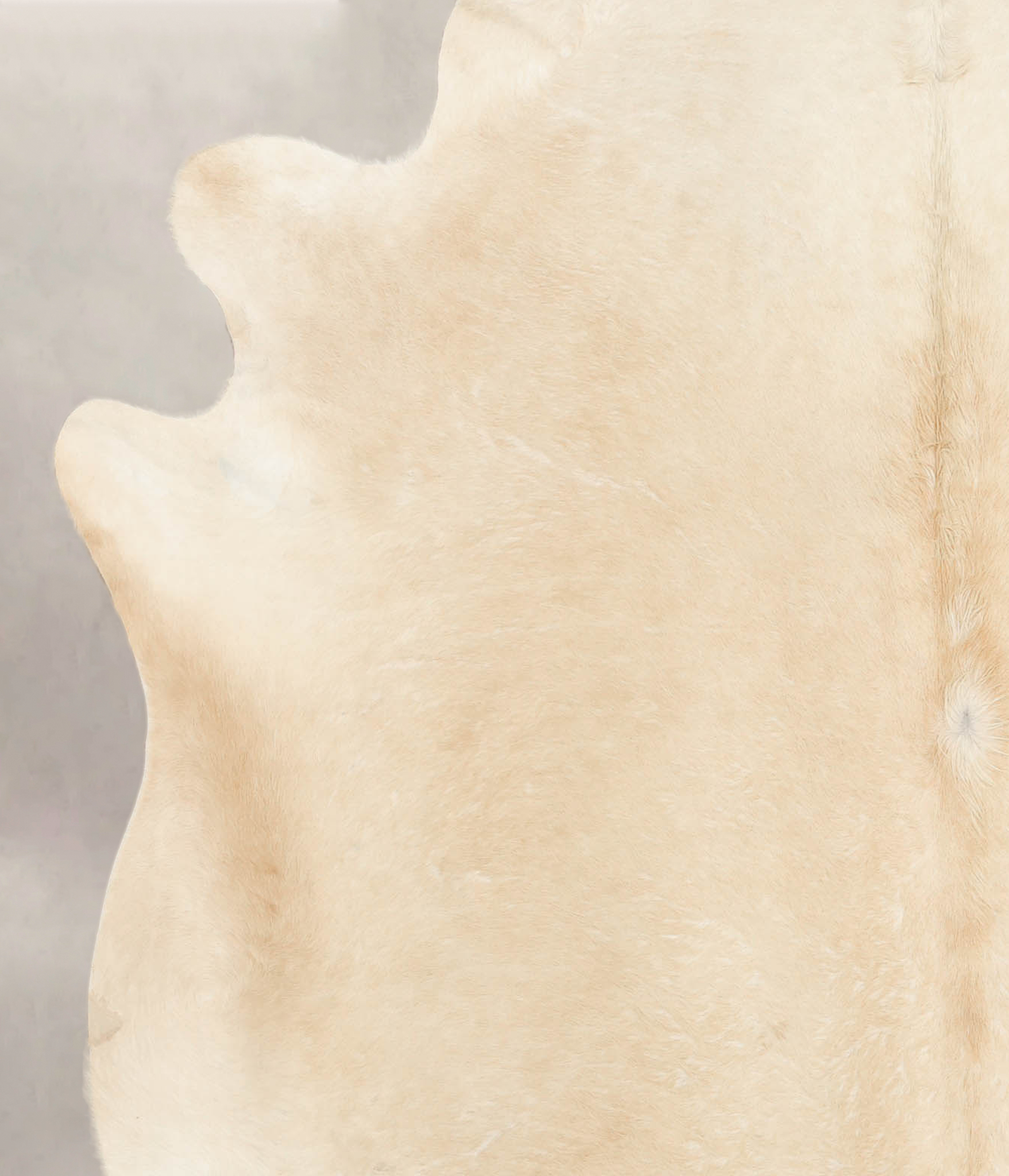 Palomino Cowhide Rug #B4108