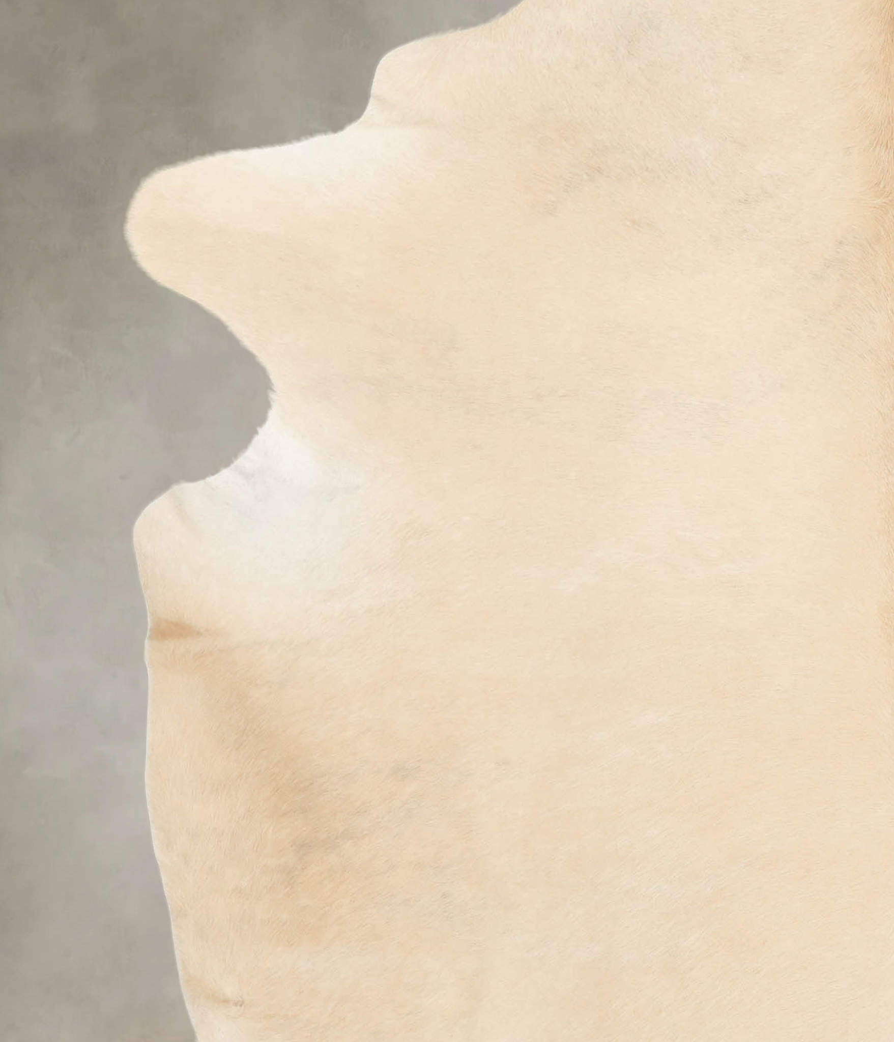 Palomino Cowhide Rug #B4125