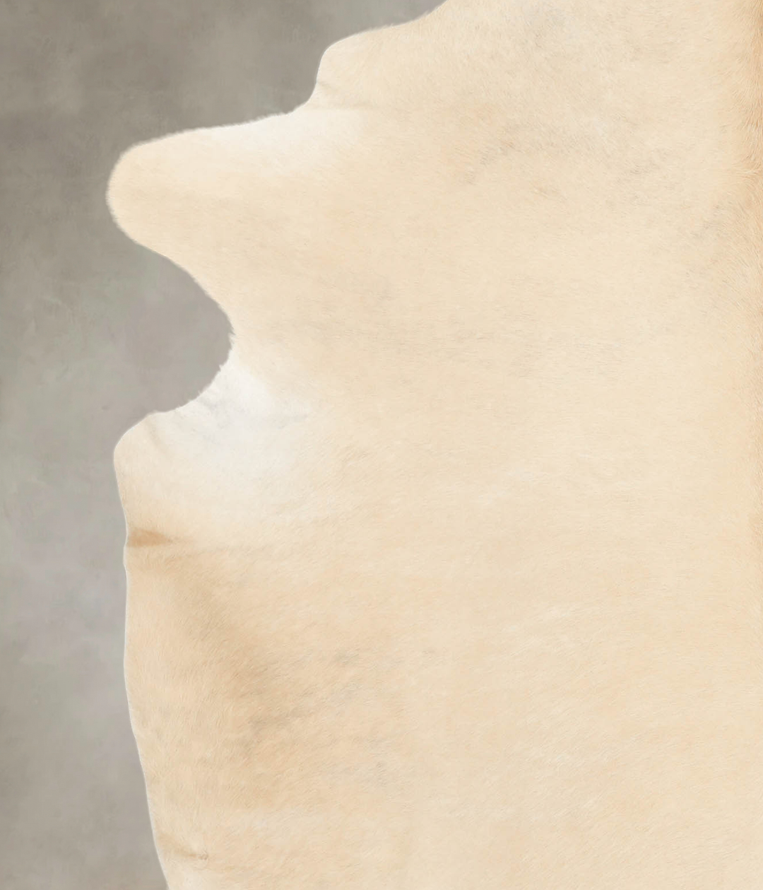 Palomino XX-Large Brazilian Cowhide Rug 7'8"H x 6'10"W #B4125 by Hudso