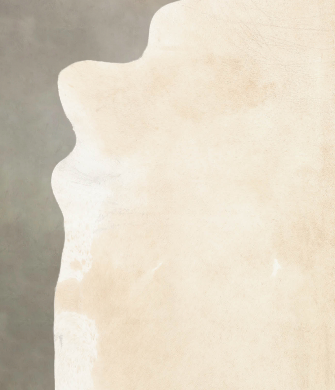 Palomino XX-Large Brazilian Cowhide Rug 7'11"H x 7'1"W #B4134 by Hudso