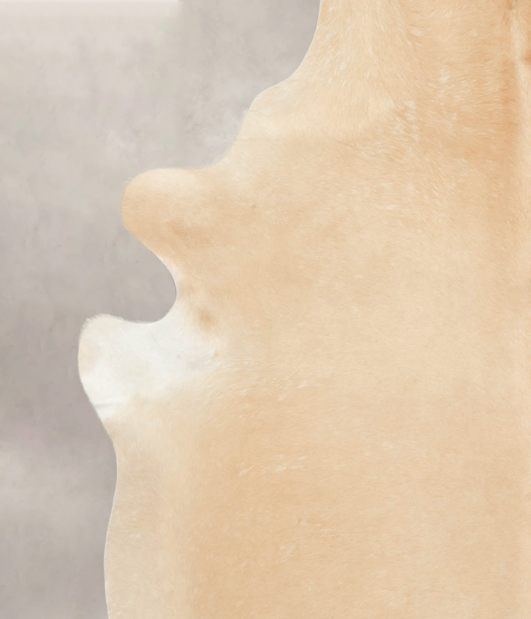 Palomino Cowhide Rug #B4139