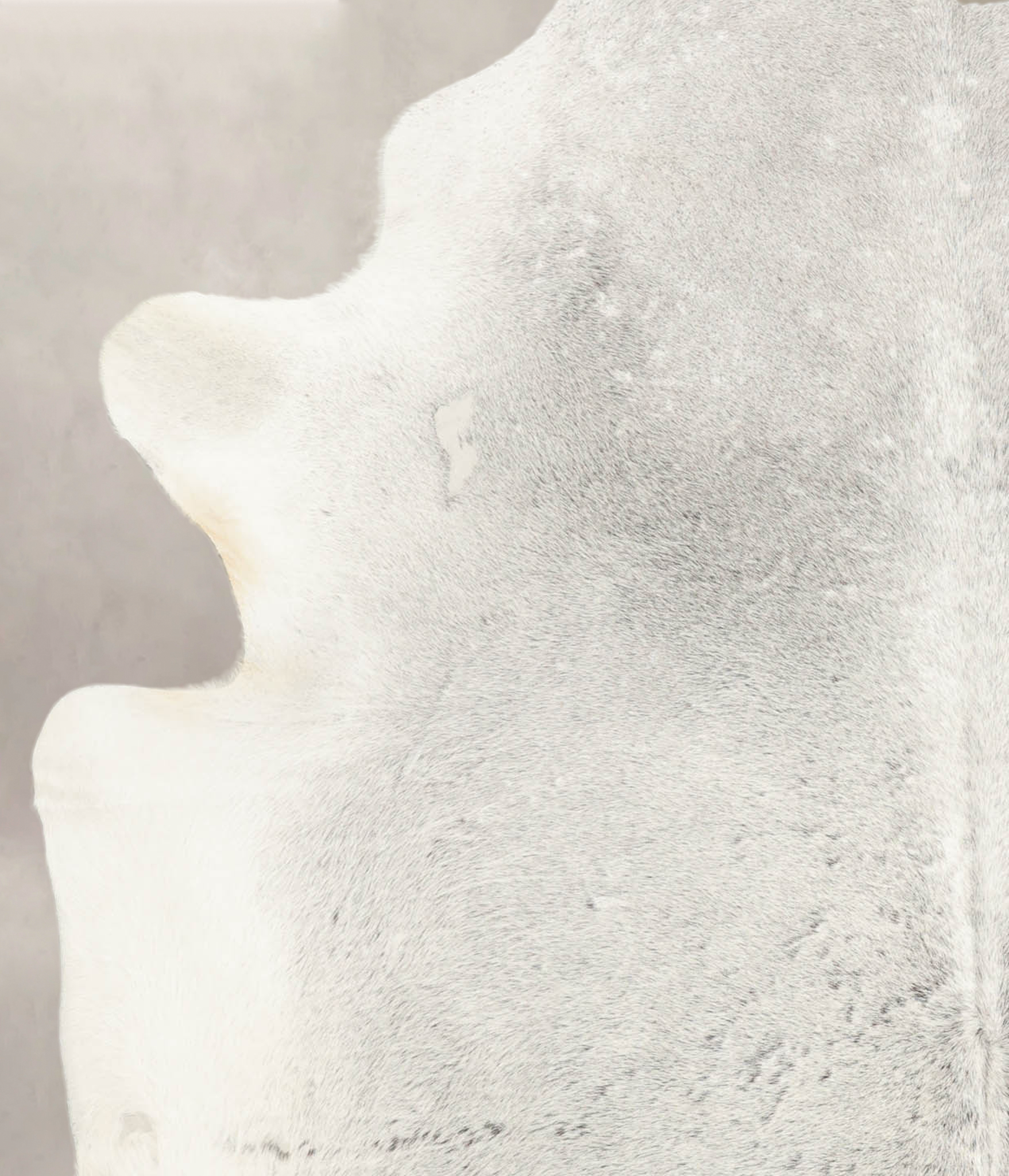 Medium Grey Cowhide Rug #B4149