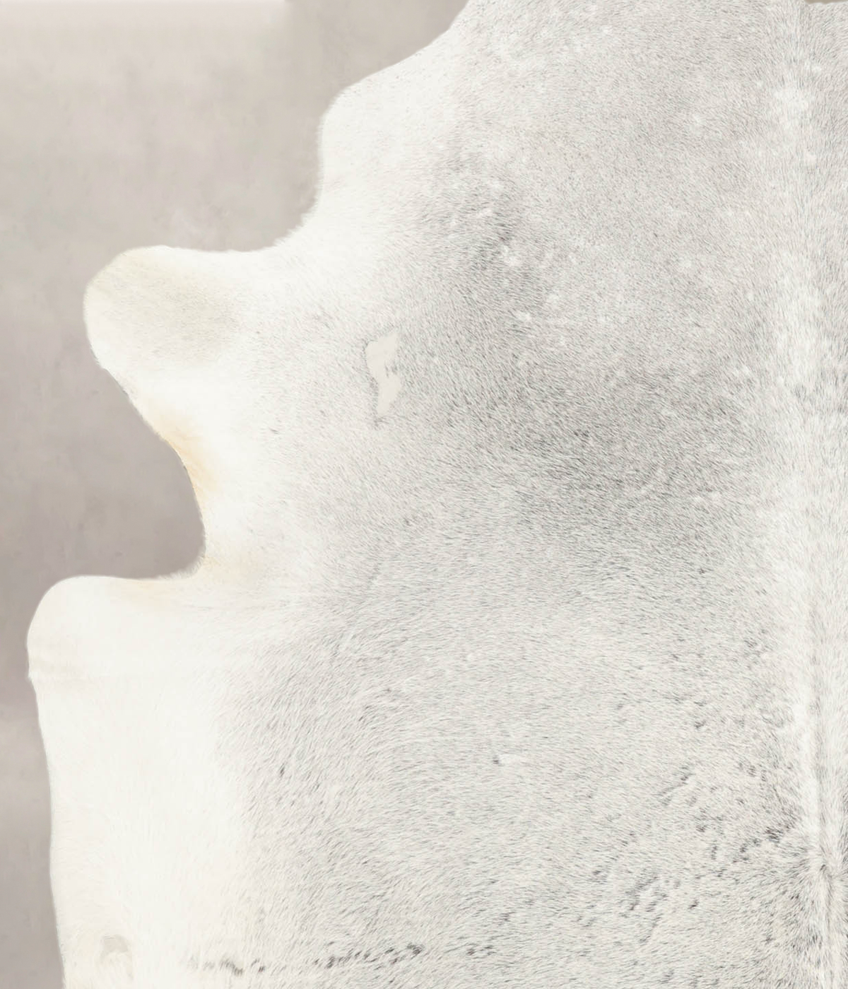 Medium Grey Cowhide Rug #B4149