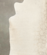Ivory with Beige X-Large Brazilian Cowhide Rug 6'2"H x 6'7"W #B4181 by Hudson Hides