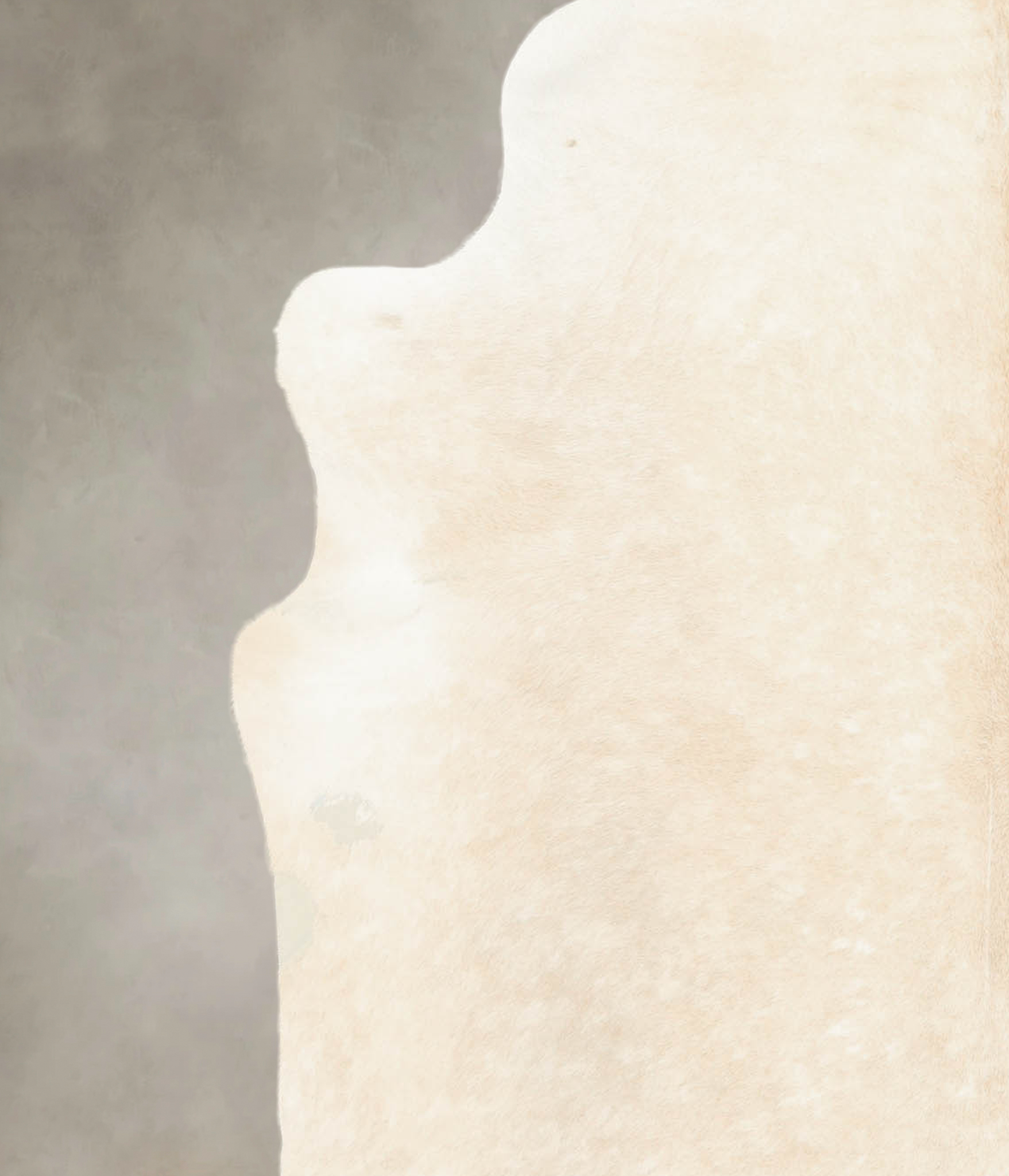 Palomino Cowhide Rug #B4217