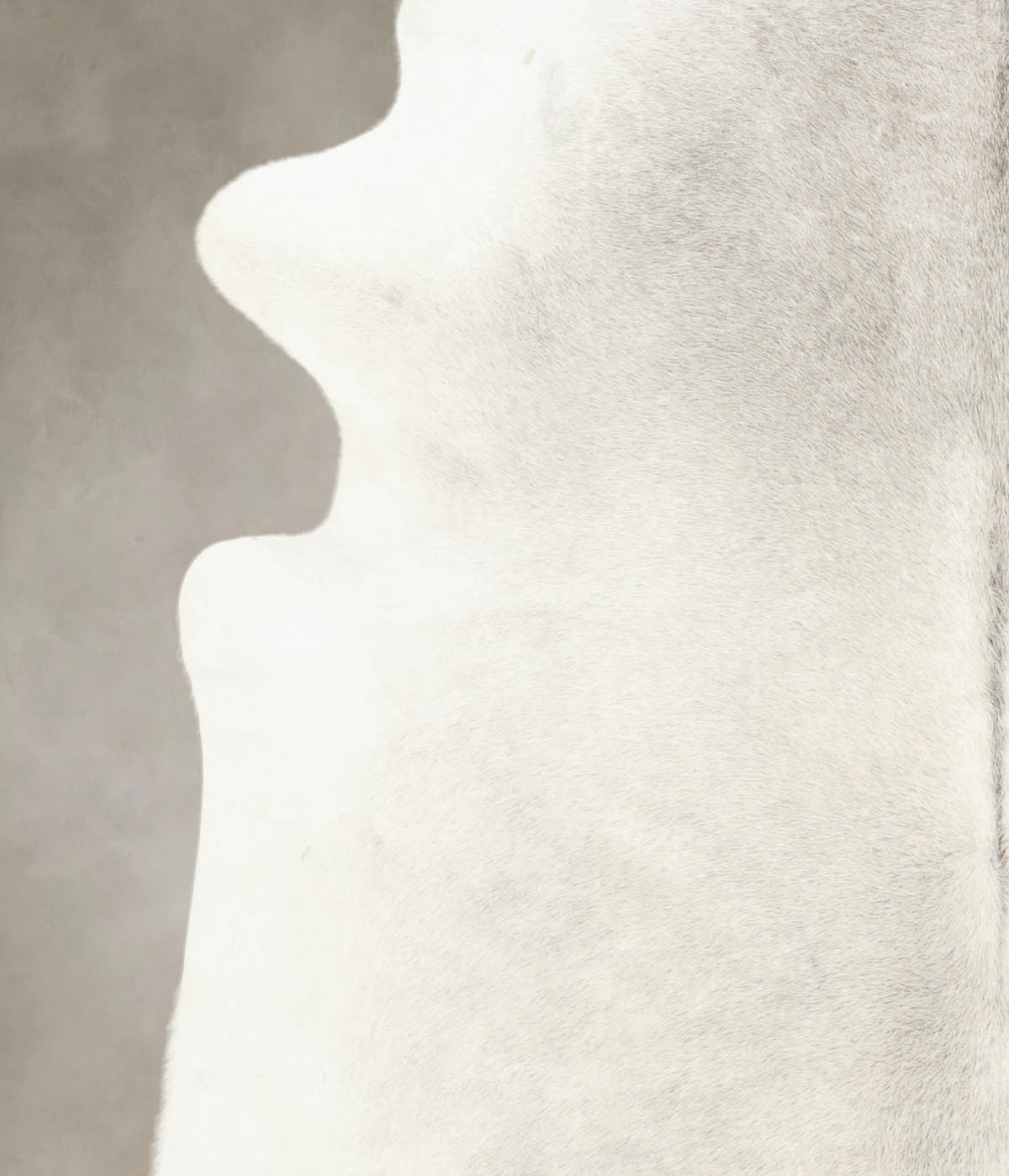 Light Grey Cowhide Rug #B4222