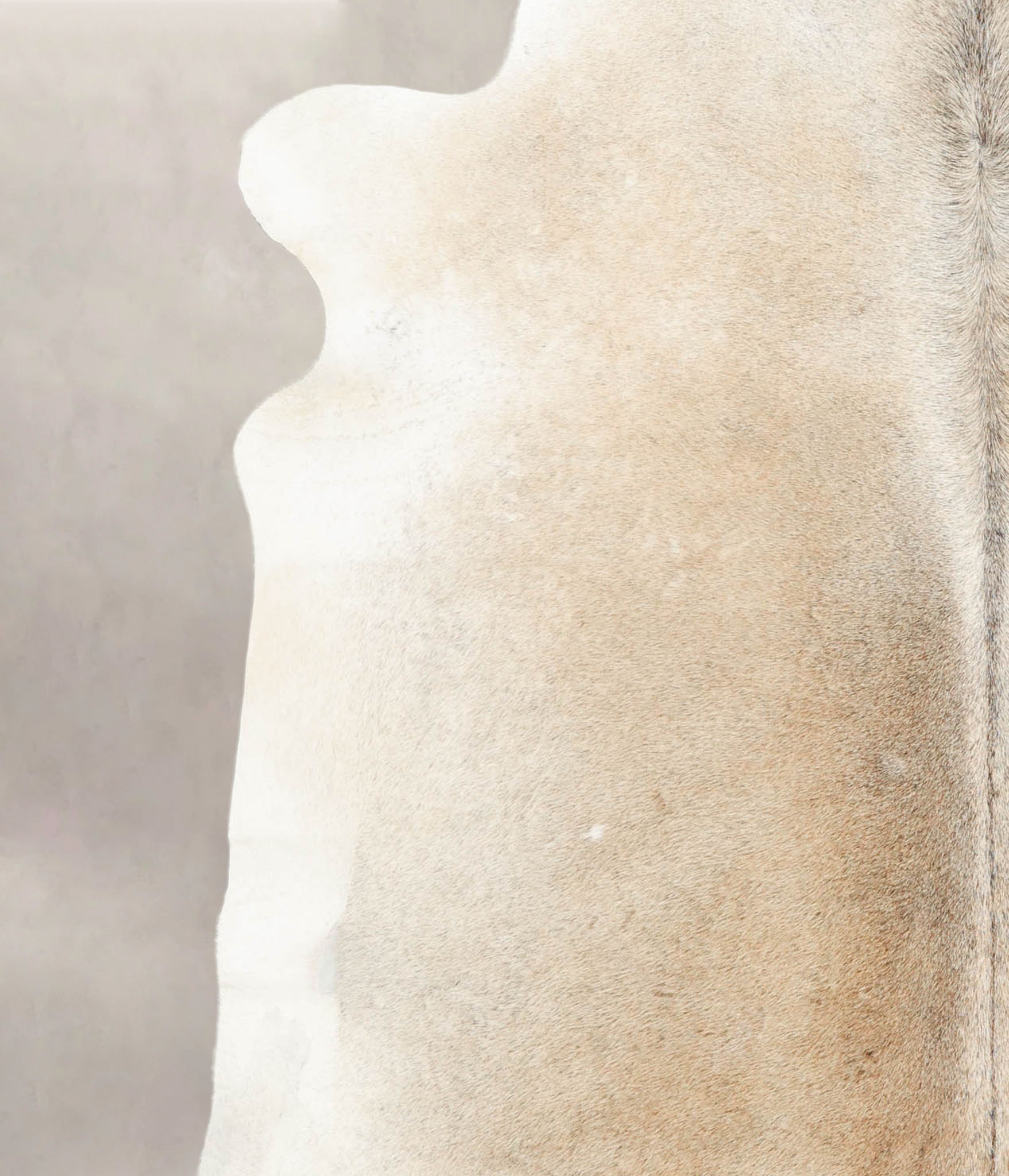 Grey with Beige Cowhide Rug #B4230