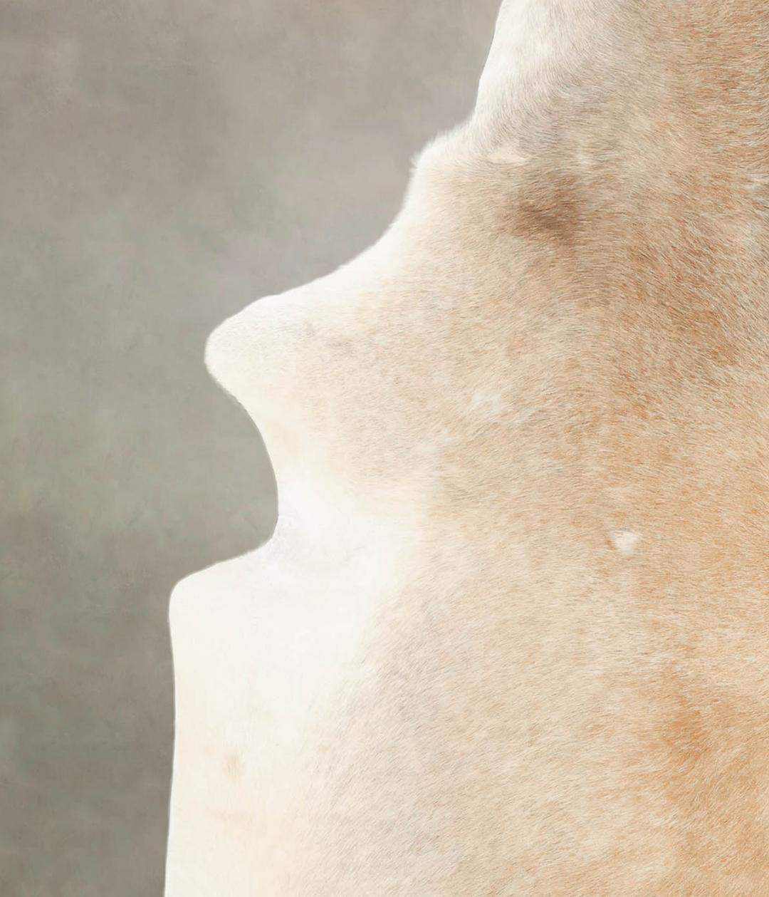 Grey with Beige X-Large Brazilian Cowhide Rug 7'5"H x 6'1"W #B4246 by 